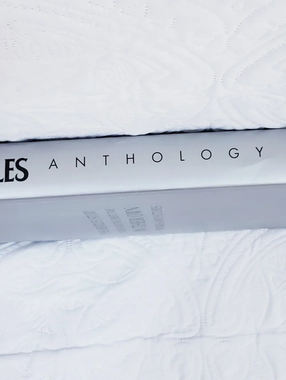 The Beatles beatles anthology